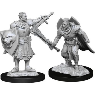 Pathfinder Deep Cuts - Male Human Champion